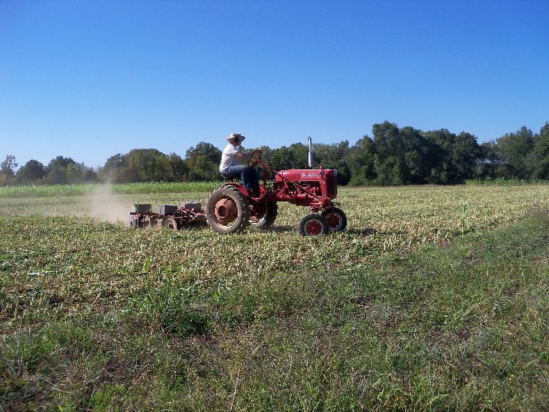 Jo disking in the cover crop